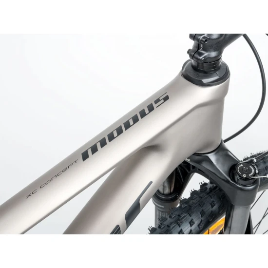 Велосипед AUTHOR Modus 29 L 2026