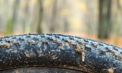 Как да разчетем и изберем гуми Maxxis за сух терен и кал